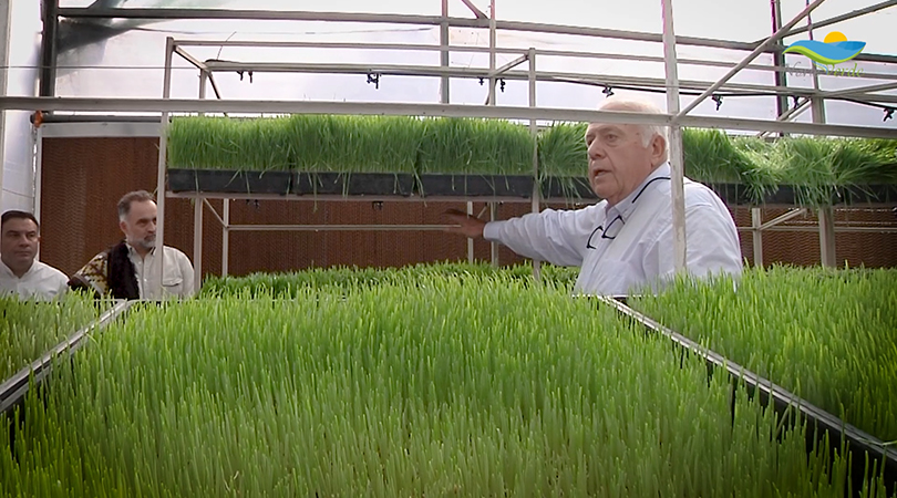 Asesoramiento técnico en producción de Forraje Verde Hidropónico